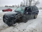 2008 Chevrolet Trailblazer LS