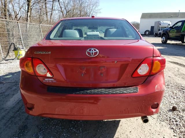 2010 Toyota Corolla Base