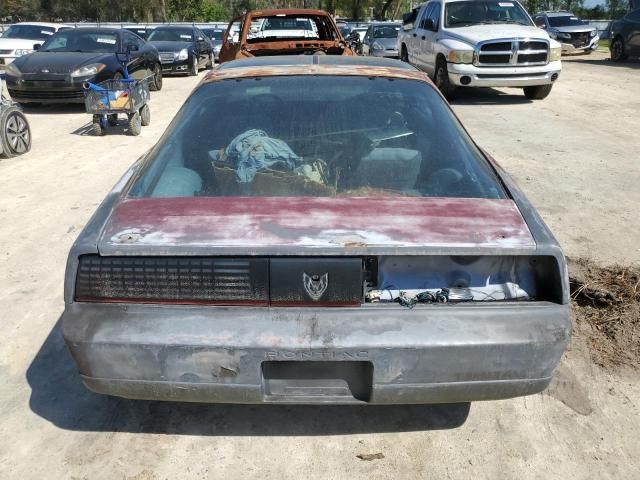 1989 Pontiac Firebird Trans AM