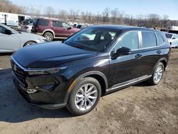 Salvage cars for sale at Marlboro, NY auction: 2024 Honda CR-V EXL