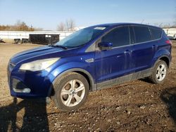 Salvage cars for sale at Columbia Station, OH auction: 2015 Ford Escape SE