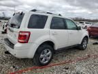 2010 Ford Escape Limited