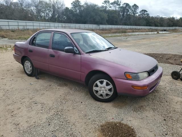 1995 Toyota Corolla