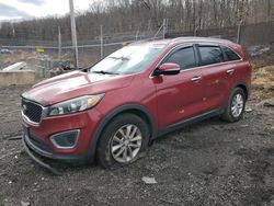 Salvage cars for sale at Baltimore, MD auction: 2017 KIA Sorento LX