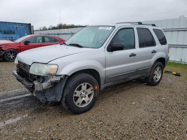 2005 Ford Escape XLT