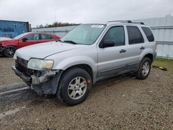 Salvage cars for sale at Anderson, CA auction: 2005 Ford Escape XLT