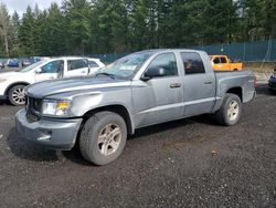 Dodge Dakota sxt salvage cars for sale: 2010 Dodge Dakota SXT