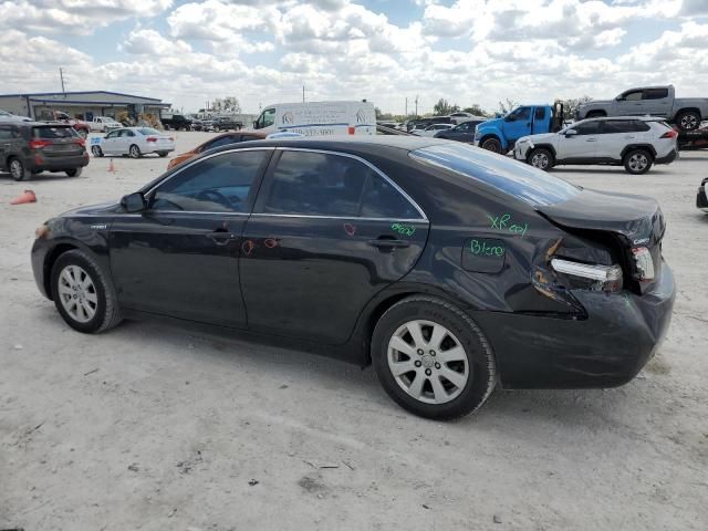 2009 Toyota Camry Hybrid