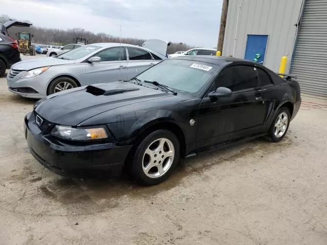 2004 Ford Mustang