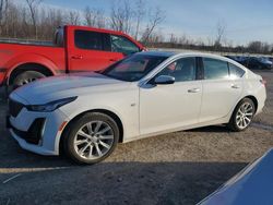 Salvage cars for sale at Leroy, NY auction: 2024 Cadillac CT5 Luxury