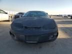 1999 Pontiac Firebird