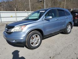 Salvage cars for sale from Copart Hurricane, WV: 2010 Honda CR-V EXL