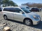 2005 Honda Odyssey EXL