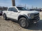 2023 Ford F150 Raptor