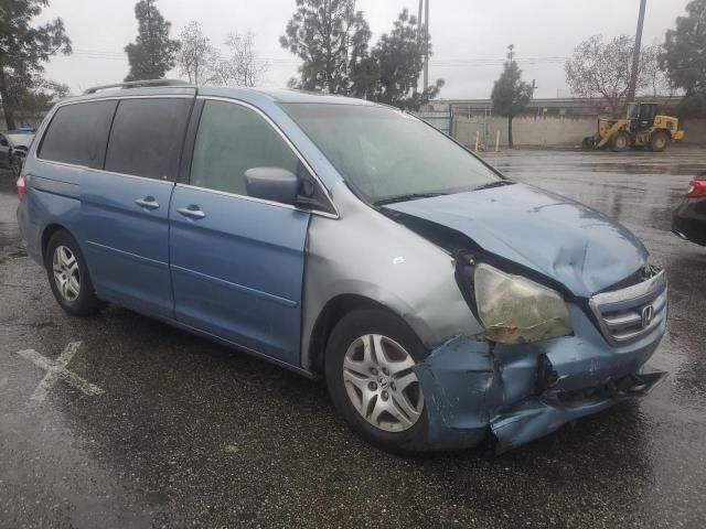 2005 Honda Odyssey EX