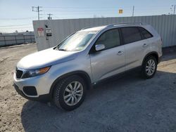 Salvage cars for sale at Albany, NY auction: 2011 KIA Sorento Base