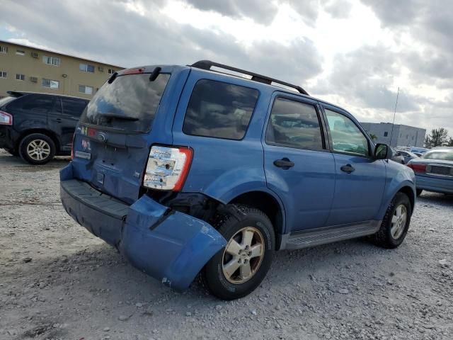 2010 Ford Escape XLT