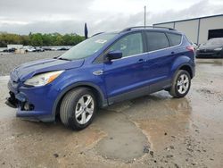 Salvage cars for sale at Apopka, FL auction: 2014 Ford Escape SE