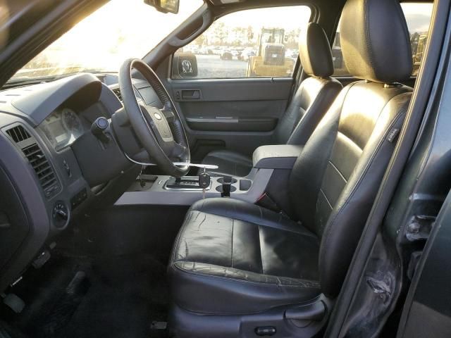 2009 Ford Escape XLT