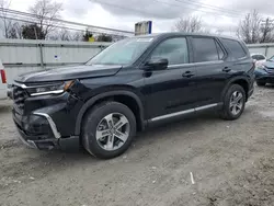 2025 Honda Pilot EXL en venta en Walton, KY