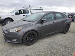 Salvage cars for sale at Antelope, CA auction: 2016 Ford Focus SE