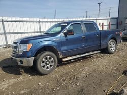 Salvage cars for sale at Appleton, WI auction: 2013 Ford F150 Supercrew