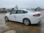 2016 Ford Fusion SE Hybrid