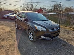 Ford salvage cars for sale: 2013 Ford Escape SEL