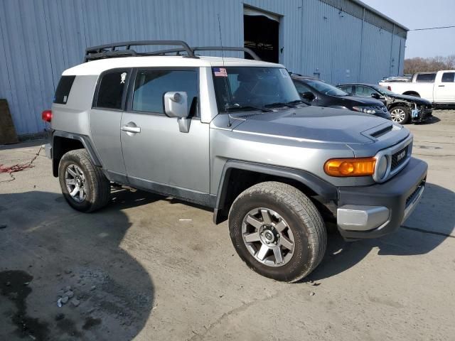 2010 Toyota FJ Cruiser