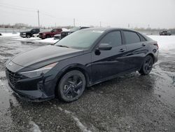 Salvage cars for sale at Ottawa, ON auction: 2023 Hyundai Elantra SEL