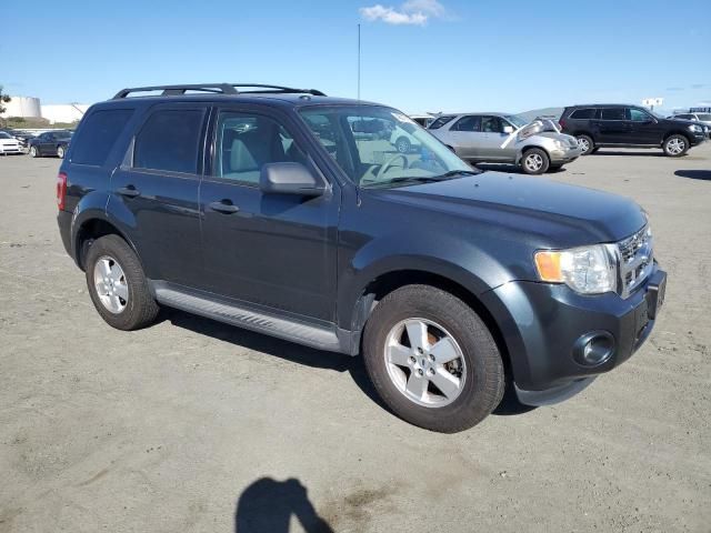 2009 Ford Escape XLT