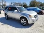 2010 Ford Escape Limited