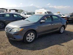 Toyota Camry ce salvage cars for sale: 2007 Toyota Camry CE