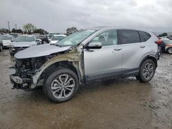 Salvage cars for sale at San Martin, CA auction: 2020 Honda CR-V EX