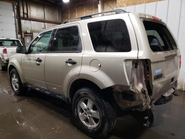 2011 Ford Escape XLT