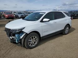 Salvage cars for sale at Helena, MT auction: 2024 Chevrolet Equinox LT