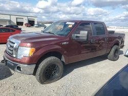 Salvage cars for sale at Earlington, KY auction: 2010 Ford F150 Supercrew