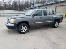 Salvage cars for sale at York Haven, PA auction: 2005 Dodge Dakota SLT