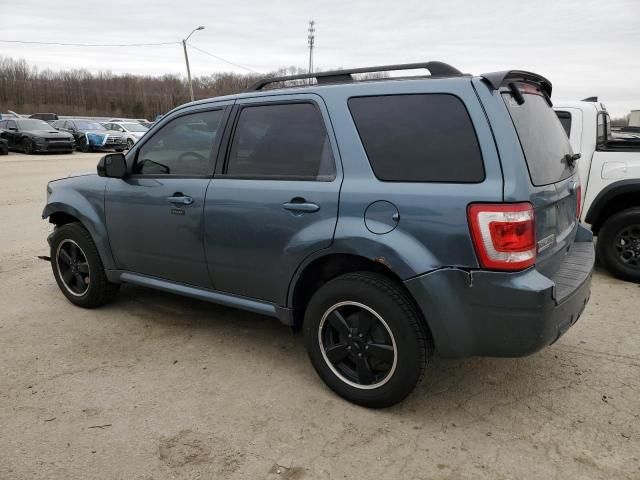 2011 Ford Escape XLT