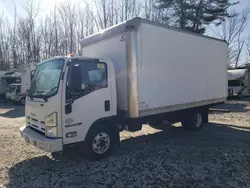 Salvage trucks for sale at West Warren, MA auction: 2009 Isuzu NPR