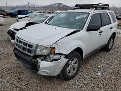 Salvage cars for sale at Magna, UT auction: 2011 Ford Escape XLT