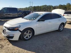 Salvage cars for sale at Greenwell Springs, LA auction: 2023 Chevrolet Malibu LS