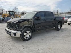 Salvage cars for sale at Walton, KY auction: 2010 Toyota Tundra Crewmax SR5