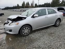 Salvage cars for sale at Graham, WA auction: 2010 Toyota Corolla Base