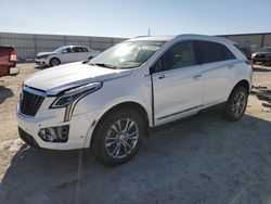 Salvage cars for sale at Arcadia, FL auction: 2023 Cadillac XT5 Premium Luxury