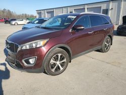 Salvage cars for sale at Gaston, SC auction: 2018 KIA Sorento EX