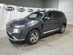 Vehiculos salvage en venta de Copart Ham Lake, MN: 2023 Hyundai Santa FE SEL Premium