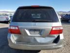 2006 Honda Odyssey EXL