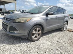 Salvage cars for sale at West Palm Beach, FL auction: 2014 Ford Escape SE