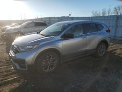 Salvage cars for sale at Greenwood, NE auction: 2021 Honda CR-V EX